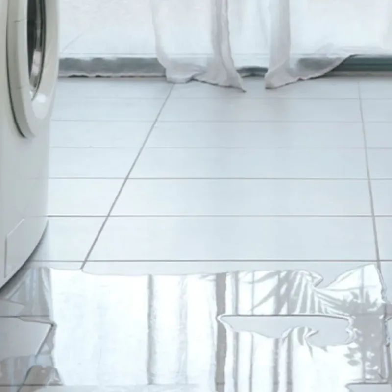 Appliance Leak Cleanup in Caribou, ME
