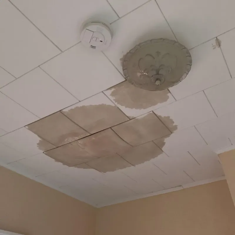 Ceiling Water Damage Repair in Caribou, ME