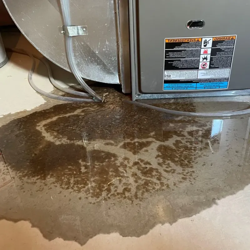 Pipe Burst and Leak Restoration in Caribou, ME